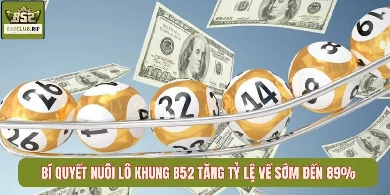 Bí Quyết Nuôi Lô Khung B52 Tăng Tỷ Lệ Về Sớm Đến 89%
